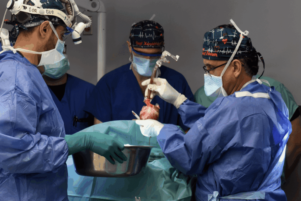 Heart Transplant Survival Rate: Can You Live a Happy 30 Years?