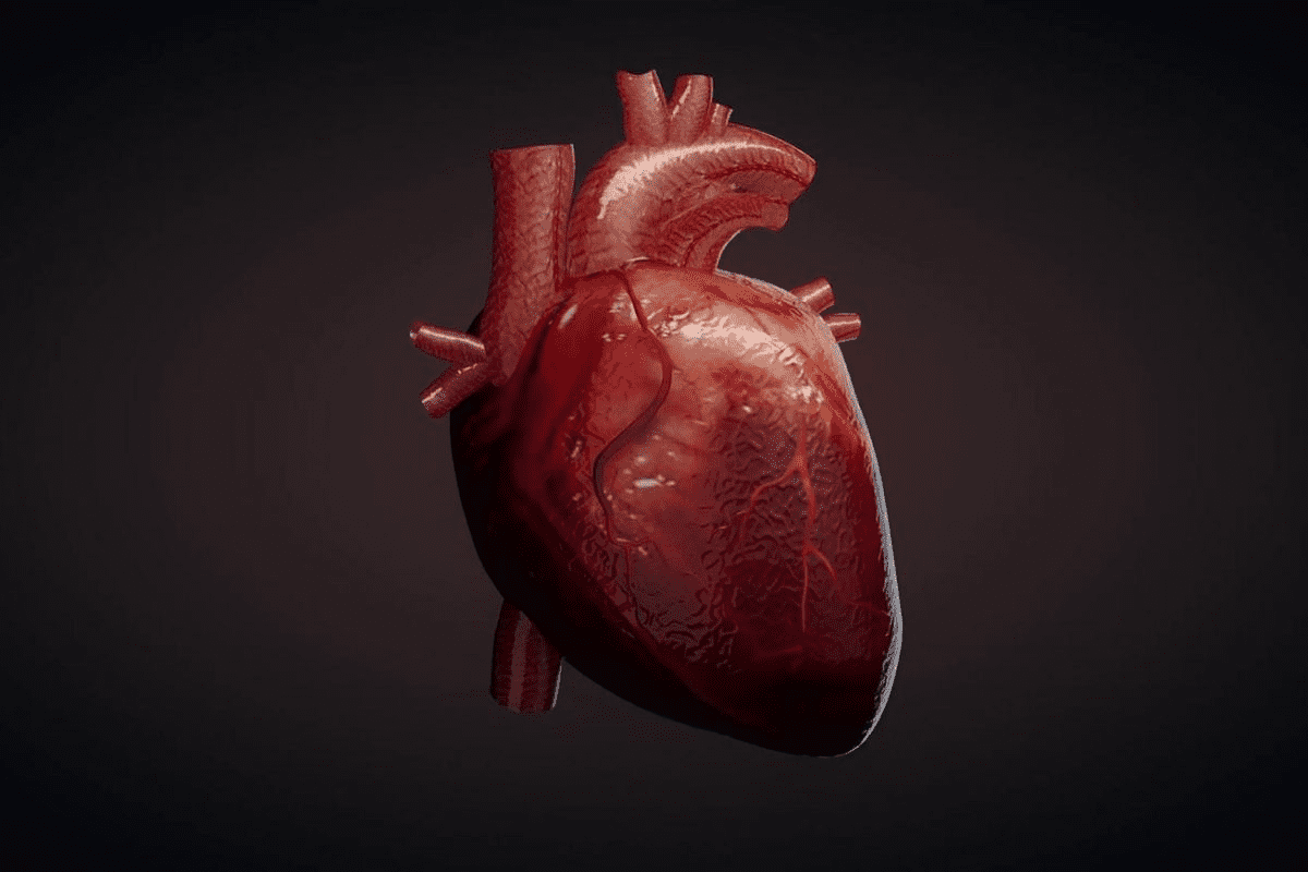 Can You Live Without a Heart? The Amazing Answer Revealed
