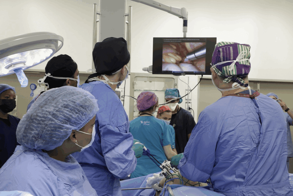 Robotic Surgical Programs: Top Hospitals Listed 1 Robotic Surgical Programs: Top Hospitals Listed