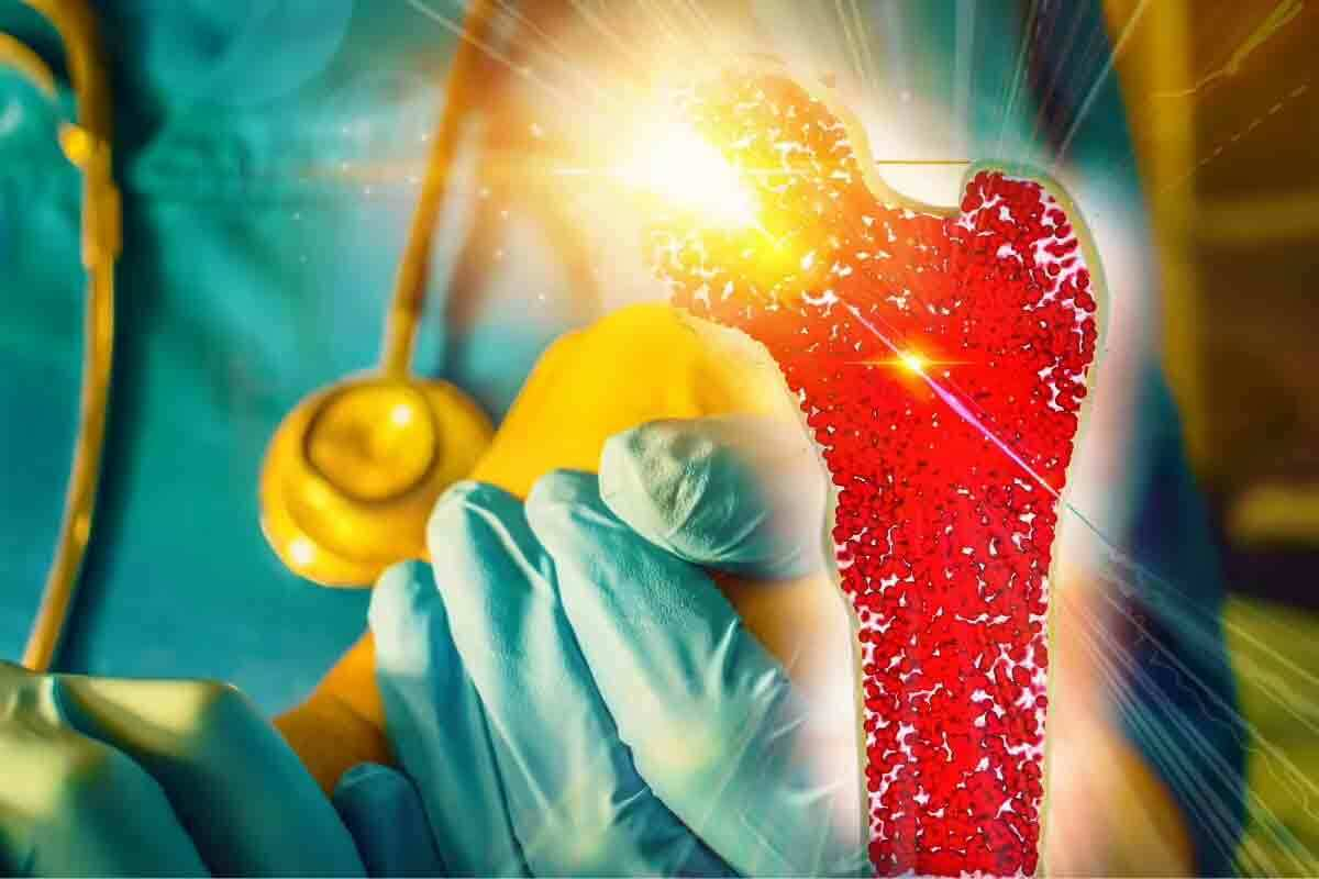 12 Types of Bone Marrow Problems and Disorders: A Complete List and Key Features