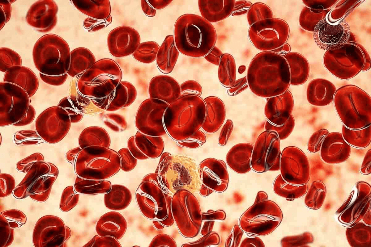10 Common Bone Marrow Blood Diseases and Non-Cancerous Disorders List
