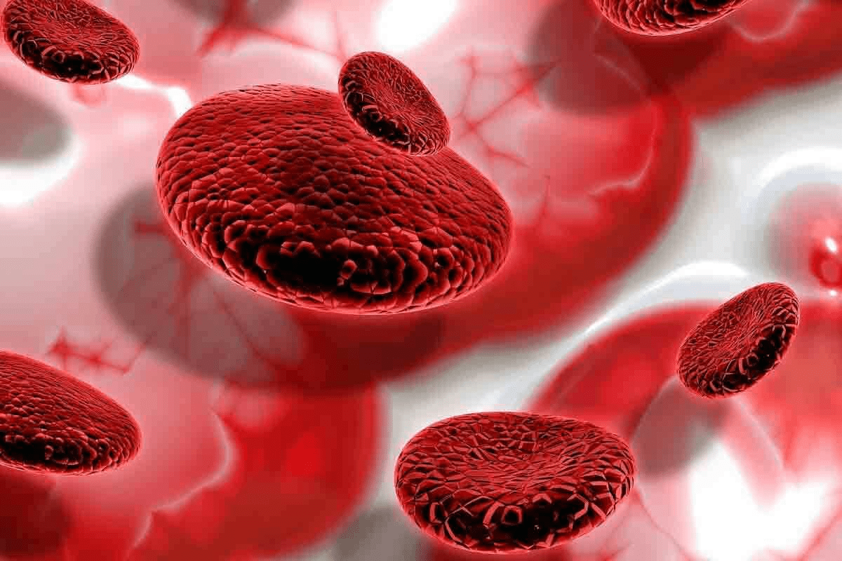 7 Key Causes When Bone Marrow Not Producing Red Cells (Plus Symptoms of Low Hemoglobin, WBC, and Platelets)