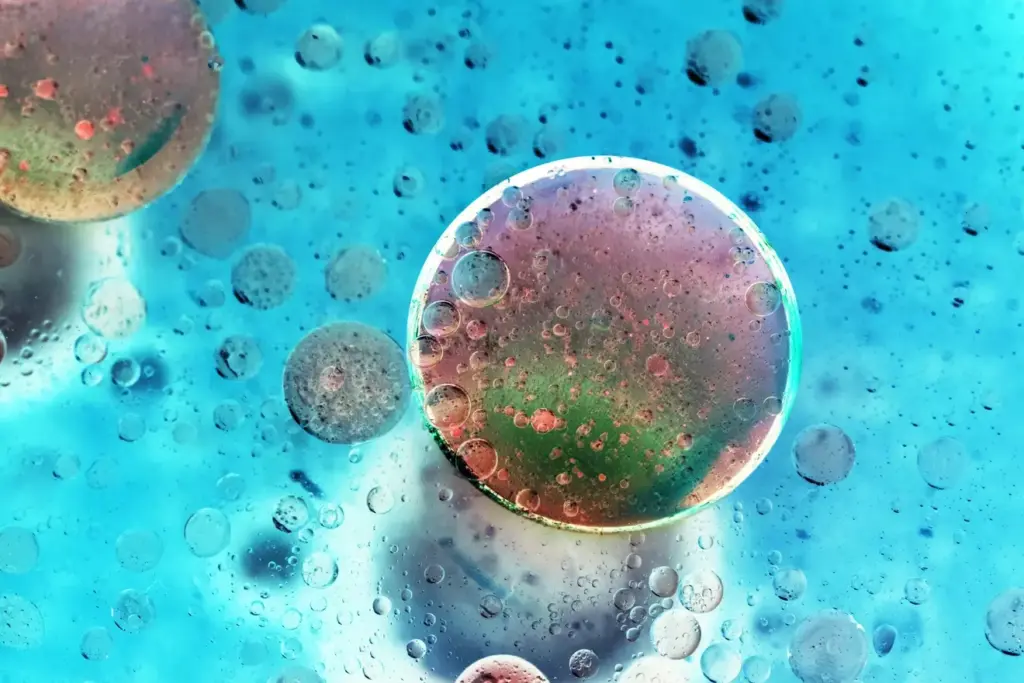 lymphocytes and t cells lymphocytes and t cells