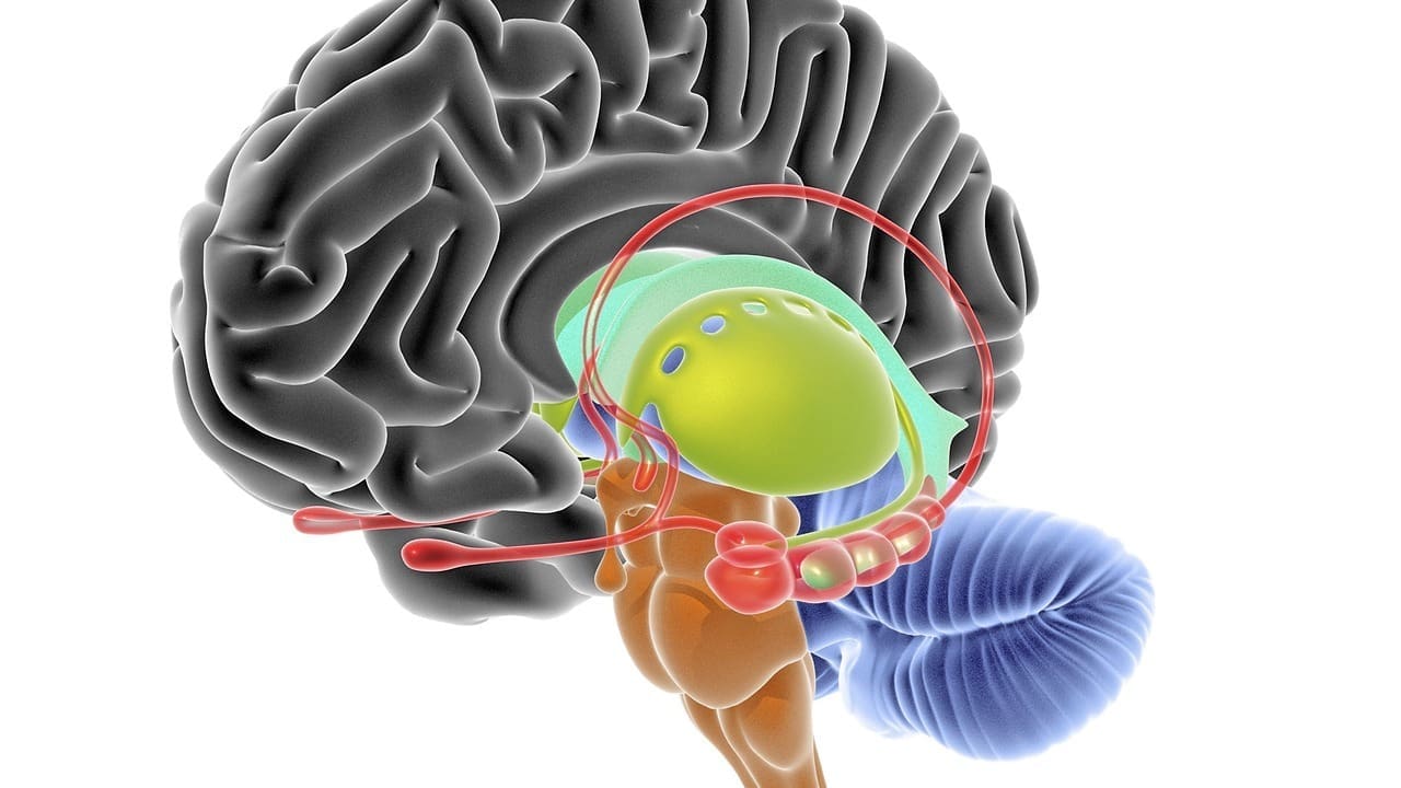malignant brain stem glioma