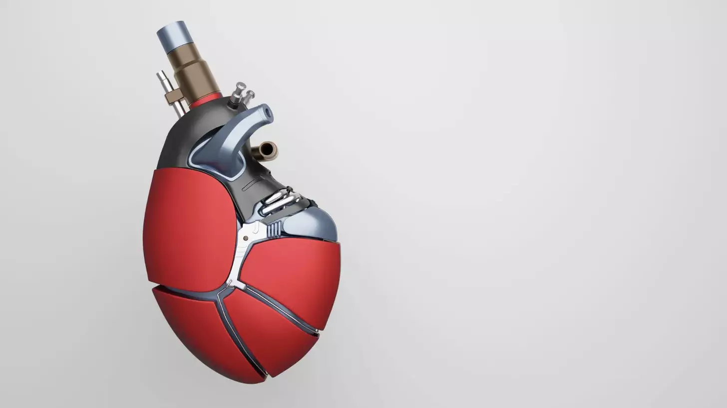 mechanical heart valve