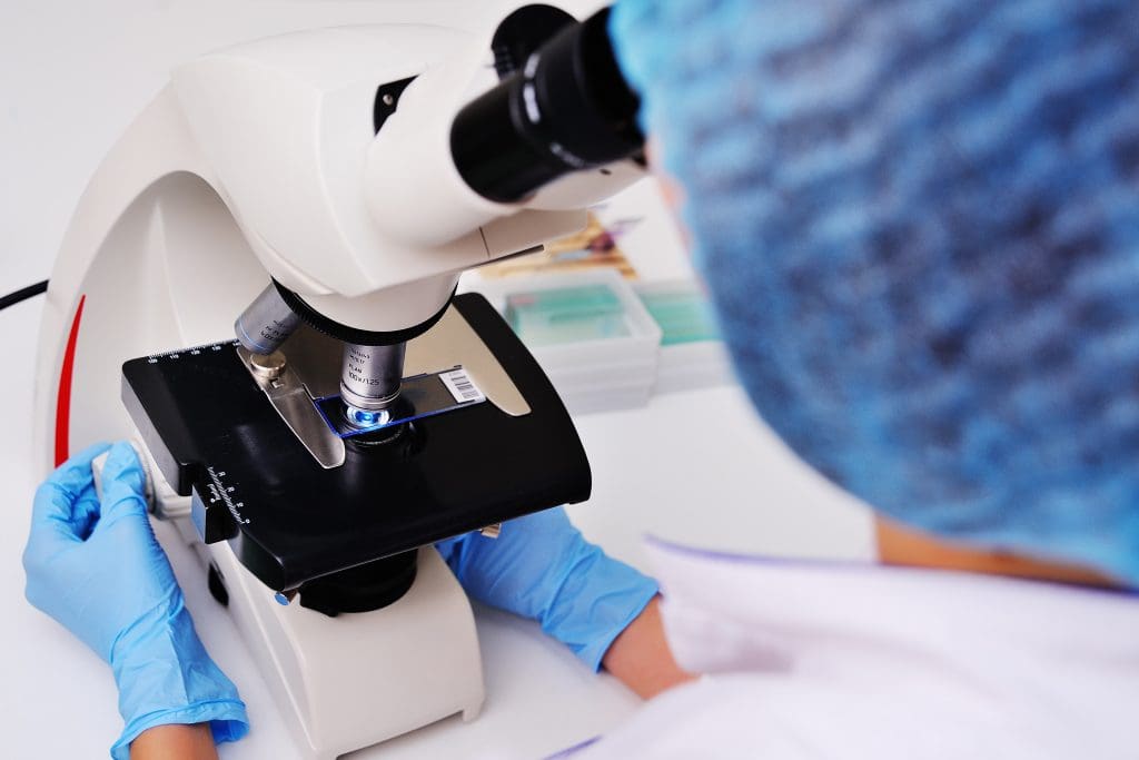 Is a Biopsy Necessary After a PET Scan? 2 medic scientist examines bacteria microscope LIV Hospital