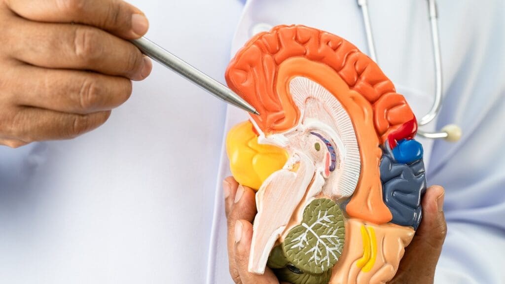 medical shunt system medical shunt system