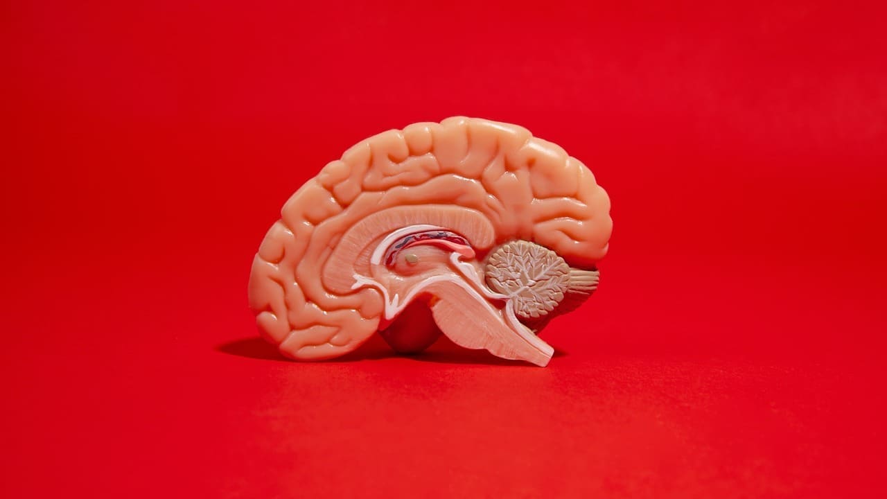 medulla oblongata tumor