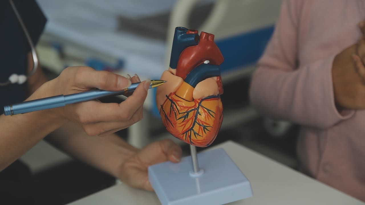 mitral valve ring repair