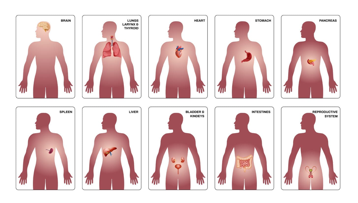 non cancerous benign