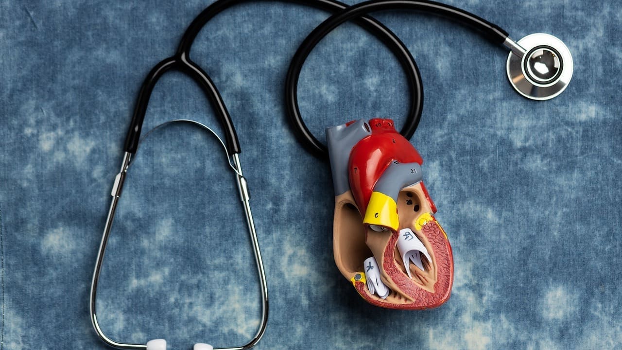 open heart valve