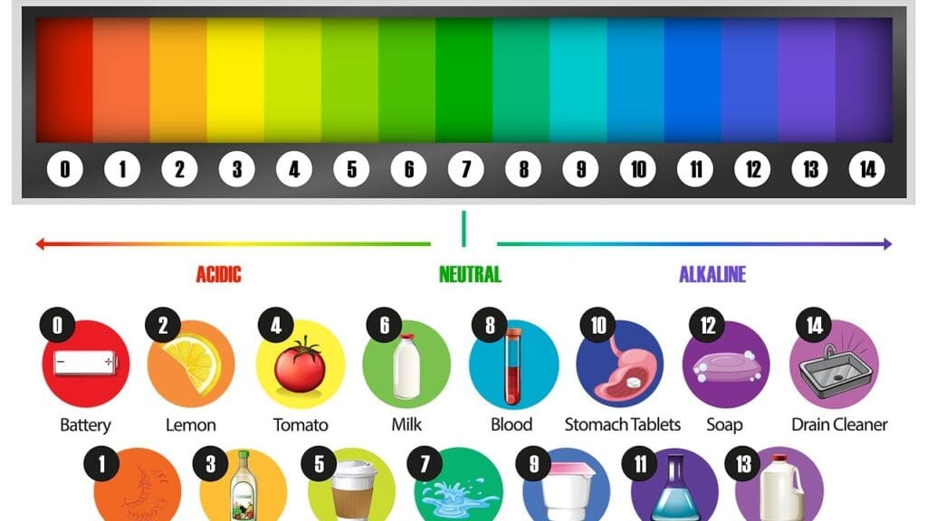 pH balance regulation pH balance regulation