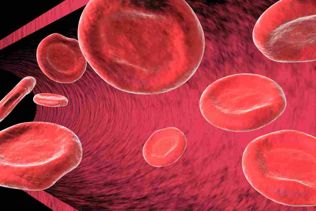 Anemia and Cancer: Terrible Facts Revealed