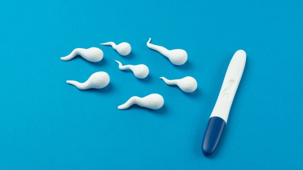 prostate removal and infertility