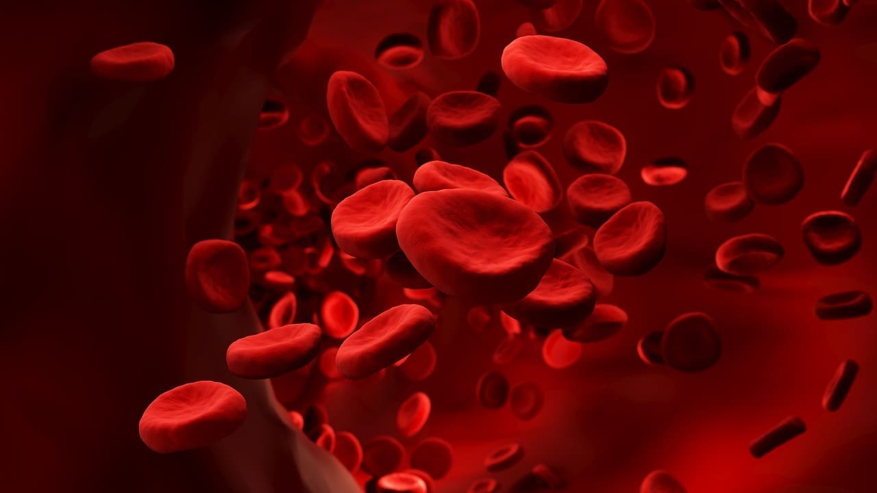 pulmonary blood flow