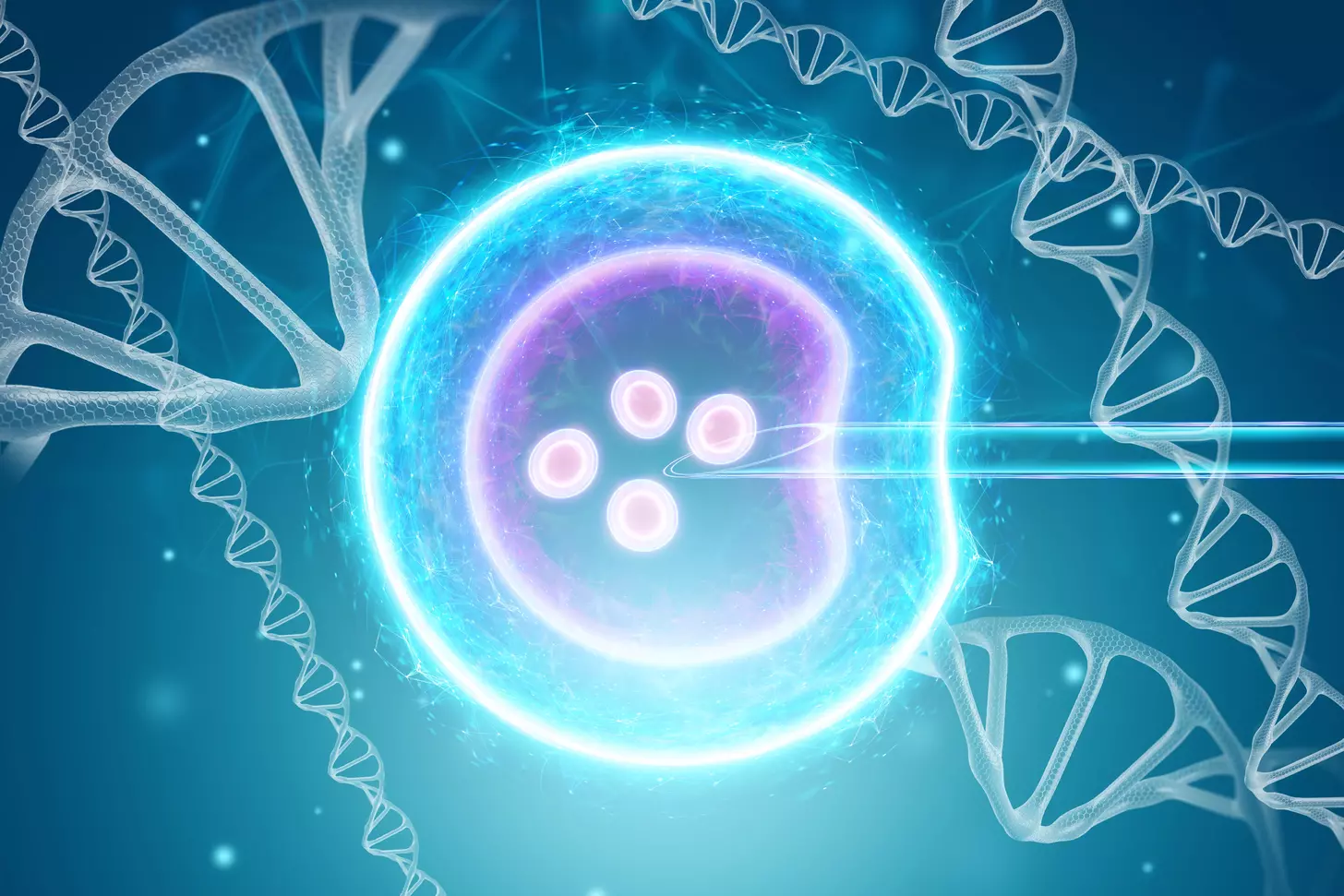 stem cells and embryos