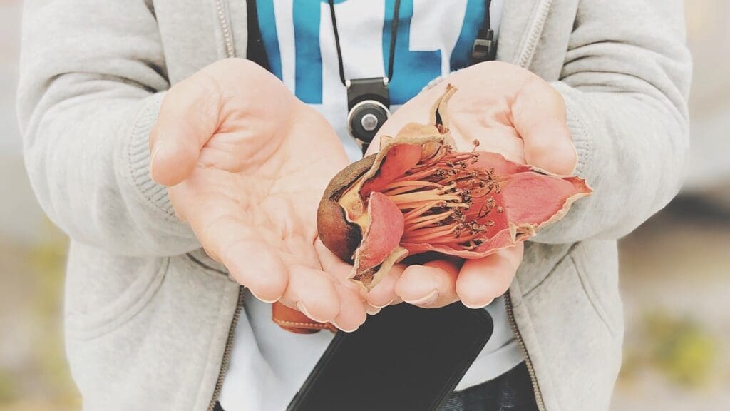 stomach aneurysm surgery