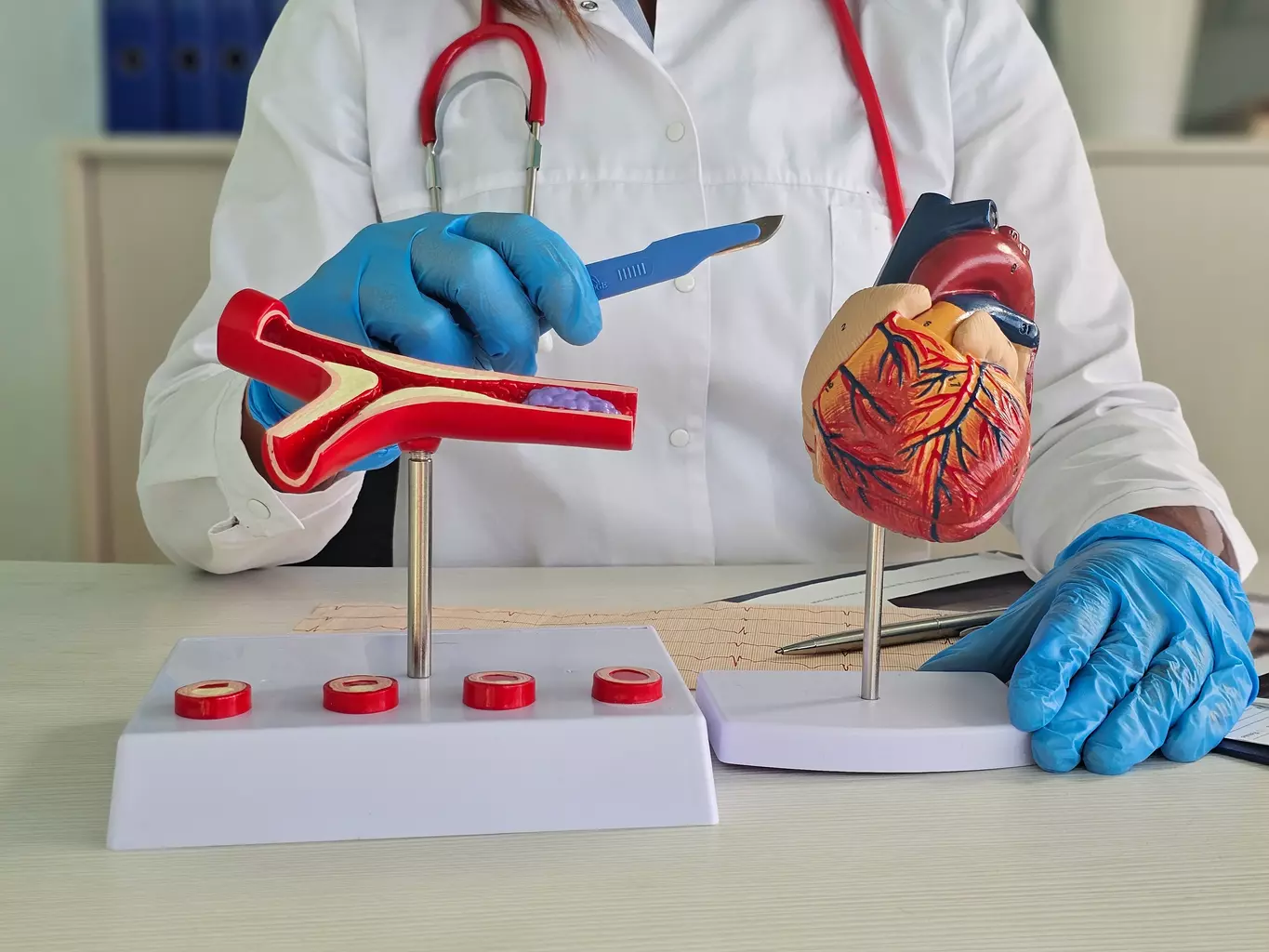 system that plays a key role in blood formation