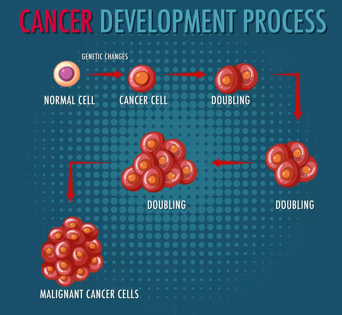 t cell malignancies