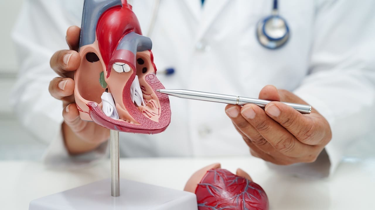tachycardia and bradycardia