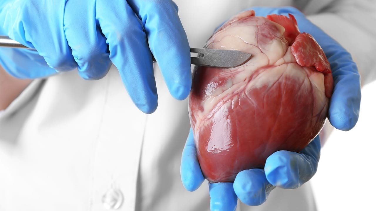 the surgical repair of a heart valve medical term