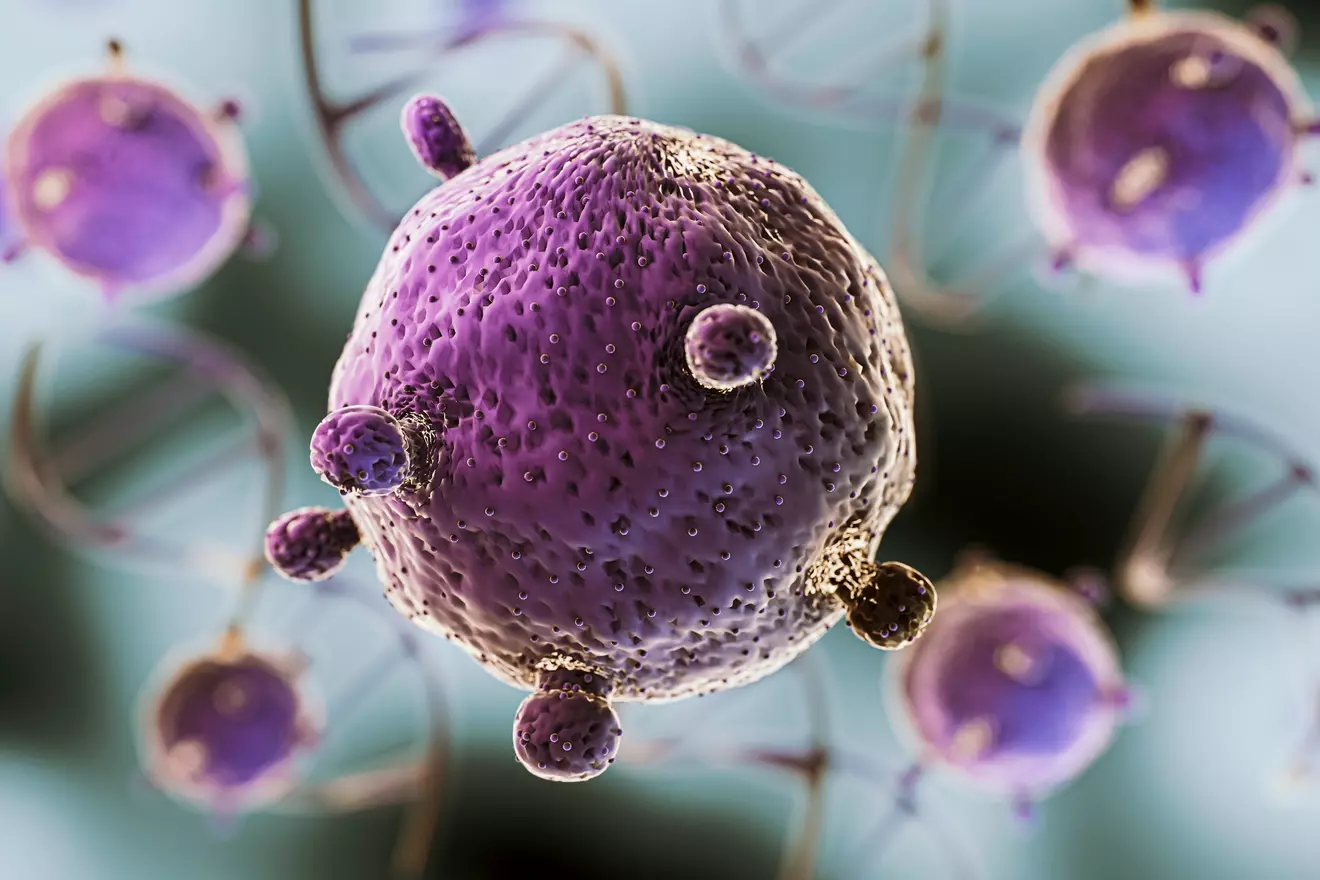 two types of lymphocytes