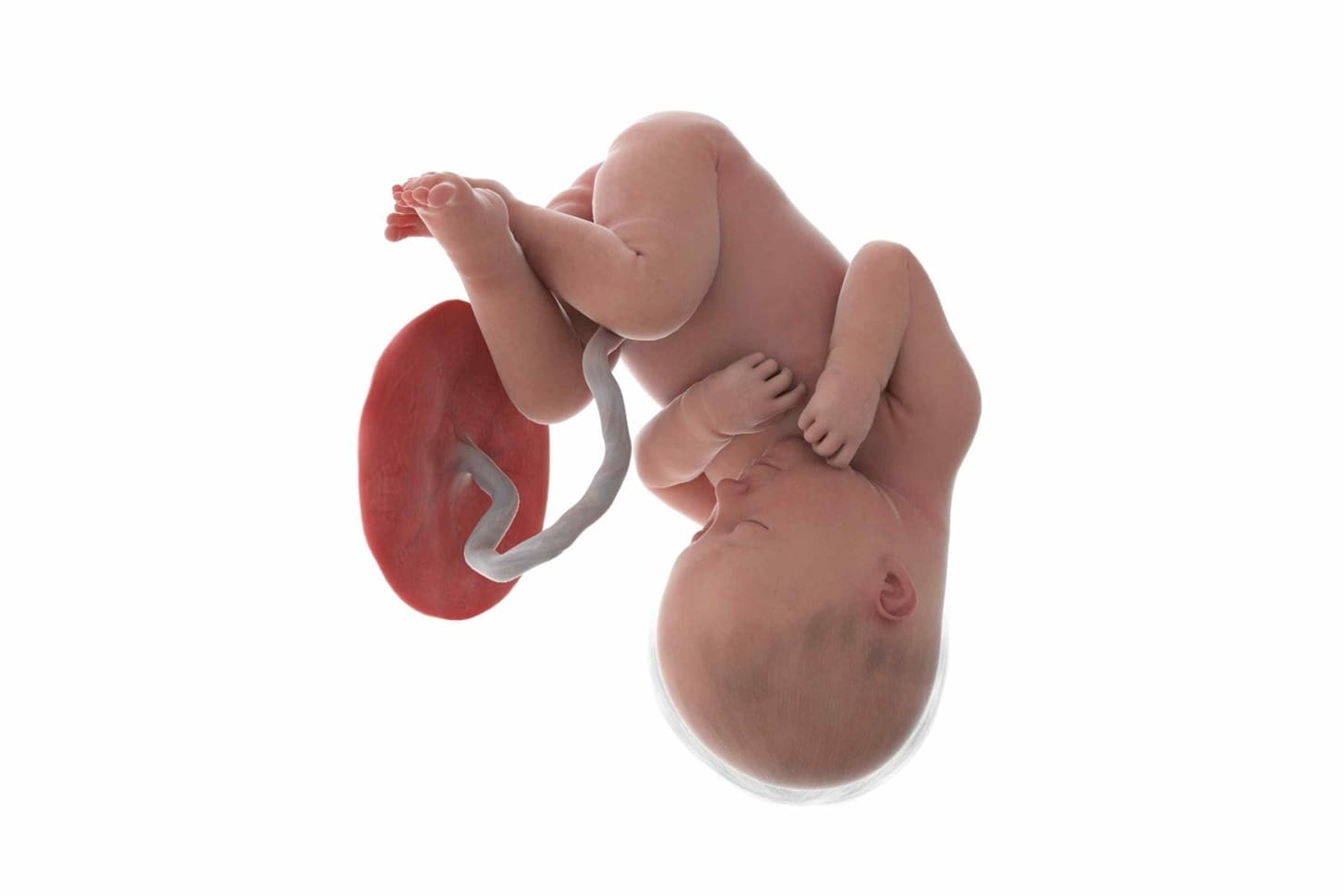 umbilical stem cells advantages and disadvantages