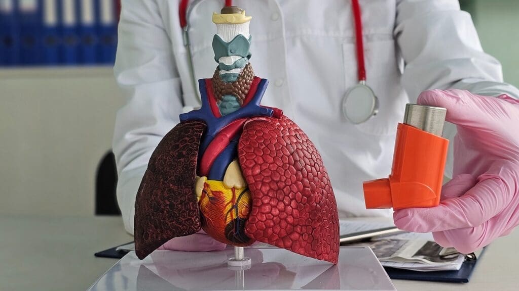 what is a mildly enlarged aorta