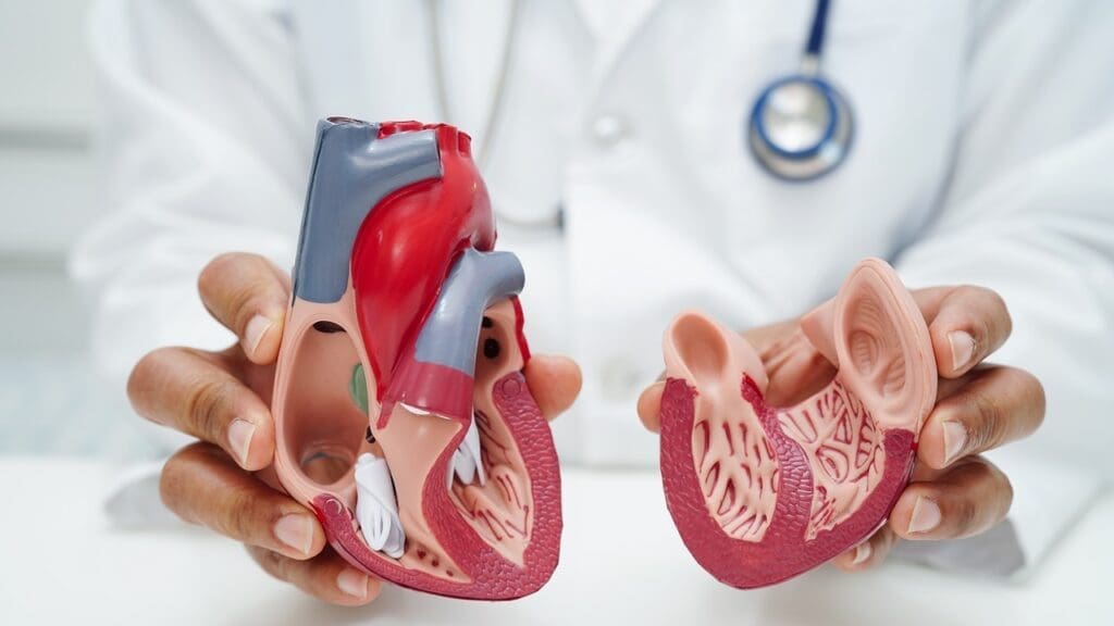 what is a mildly enlarged aorta