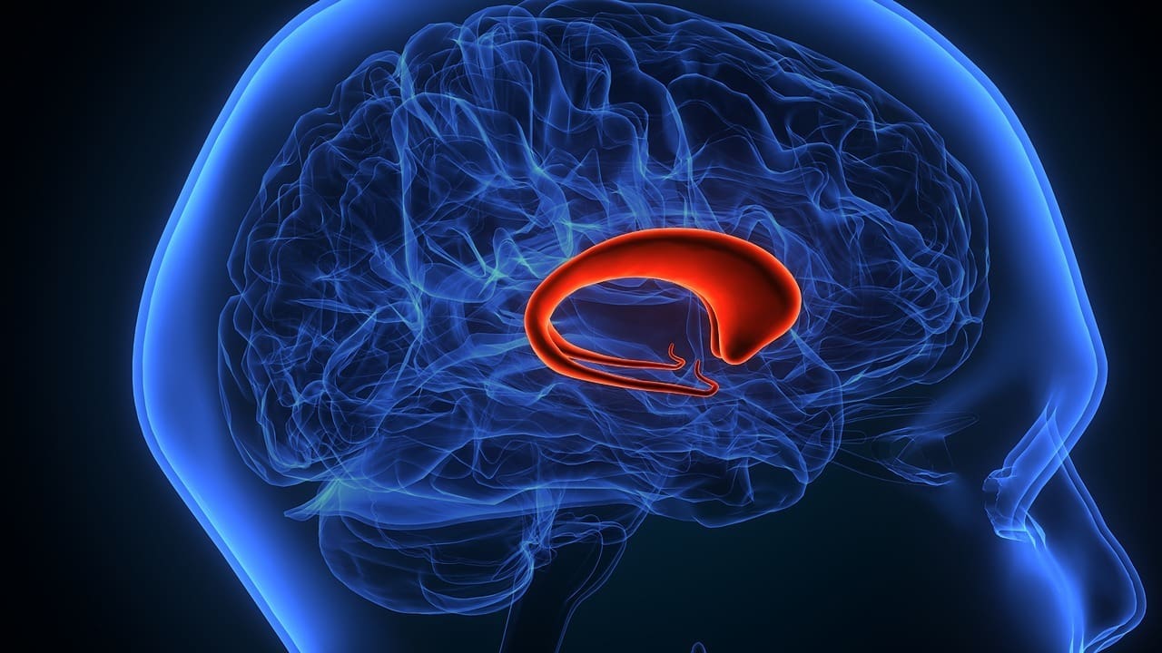 what type of brain tumor causes memory loss