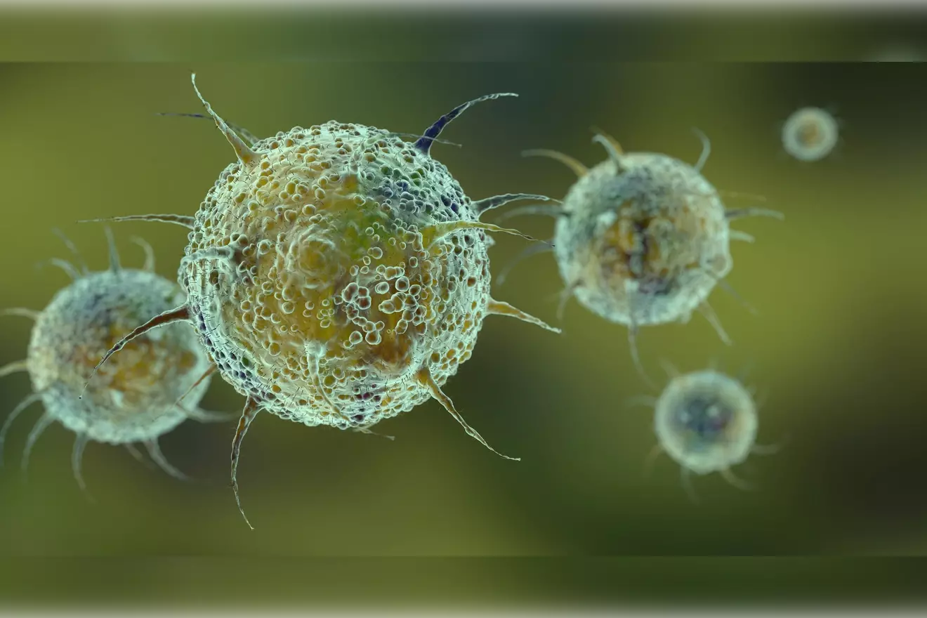 where are t lymphocytes made