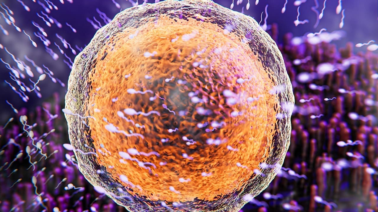 where does sperm go after prostatectomy