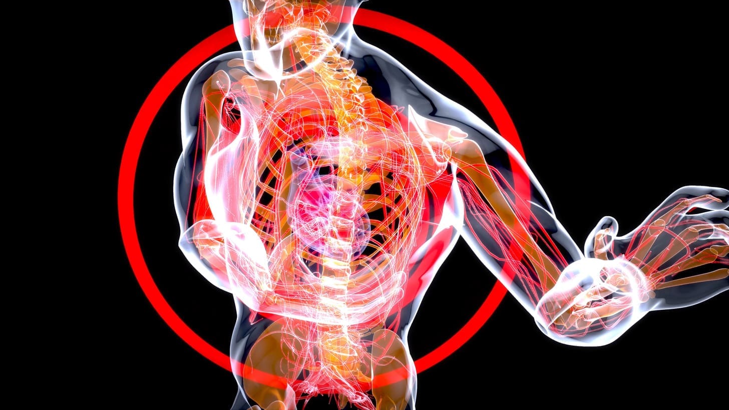 where in the body are hematopoietic stem cells found