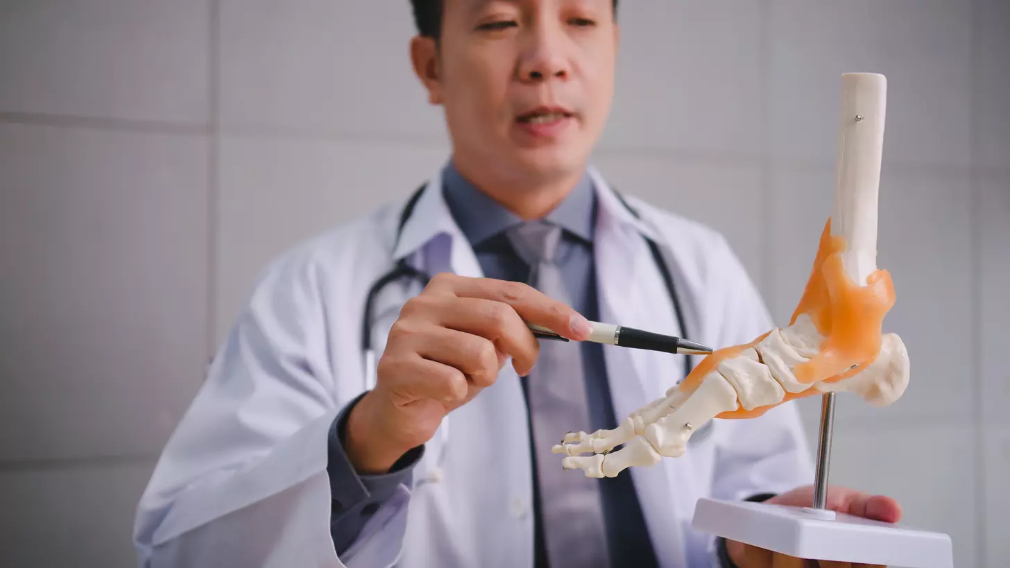 where is red bone marrow