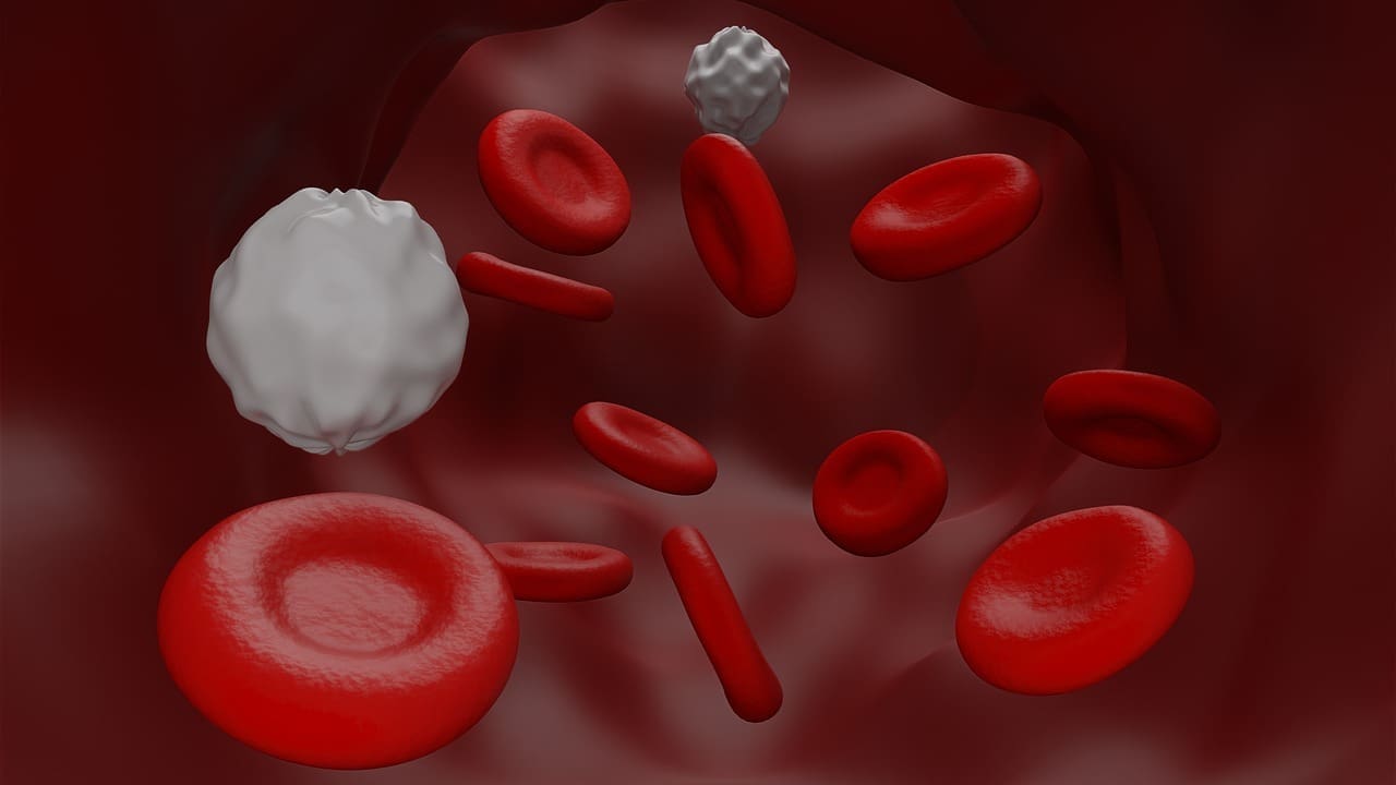 which of the following carry oxygen poor blood