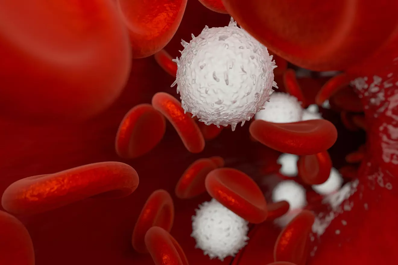 white blood cells fight cancer