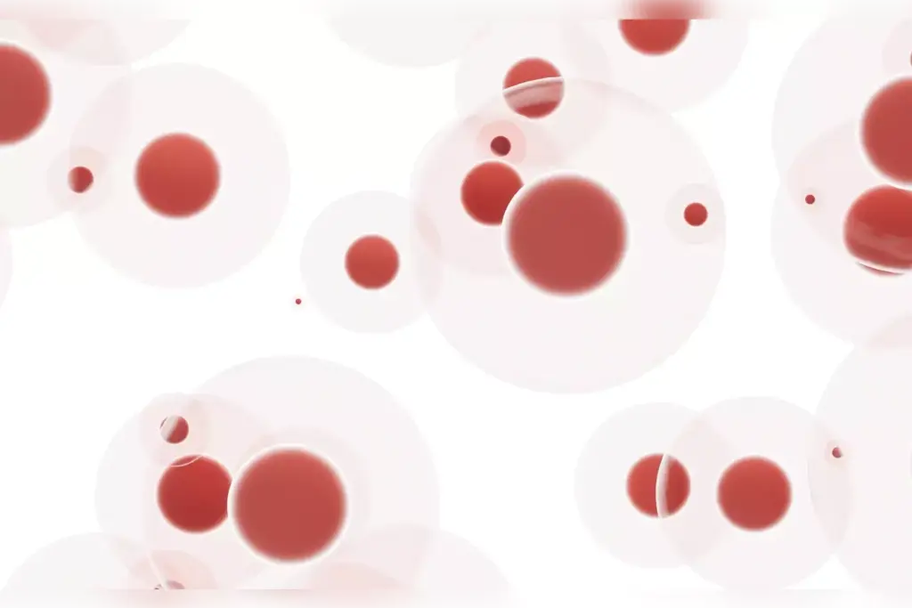 white blood cells fight cancer