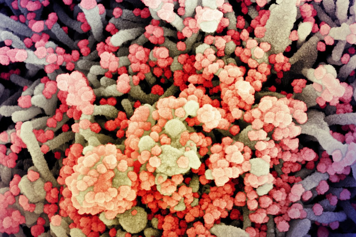 14 Diseases List: Vital Health Guide