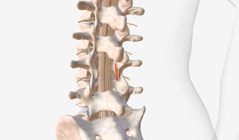 image 156 8 LIV Hospital