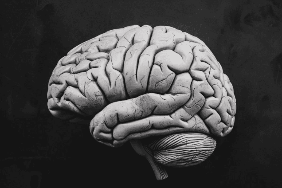 Brain tumor cure: Is 100% possible? Hopeful facts