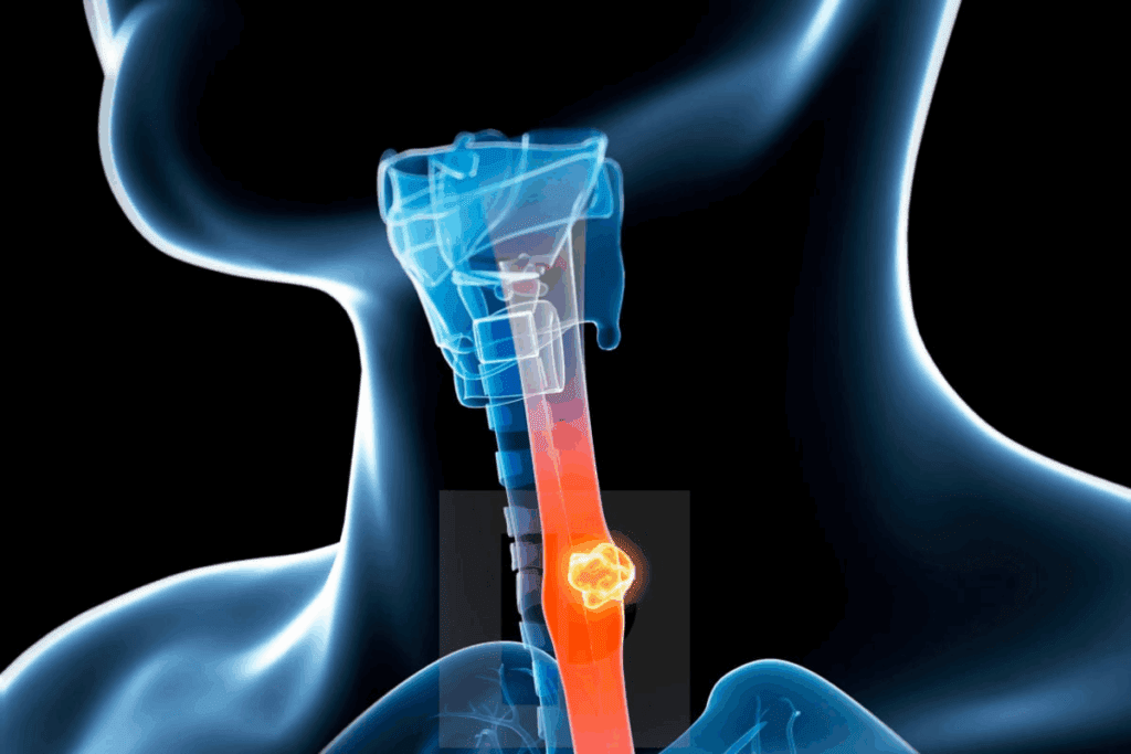 Define: How Many Carotid Arteries Are There?