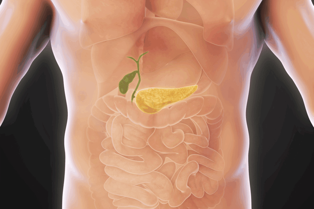 Skinny People Gallbladder Issues: Causes & Risks