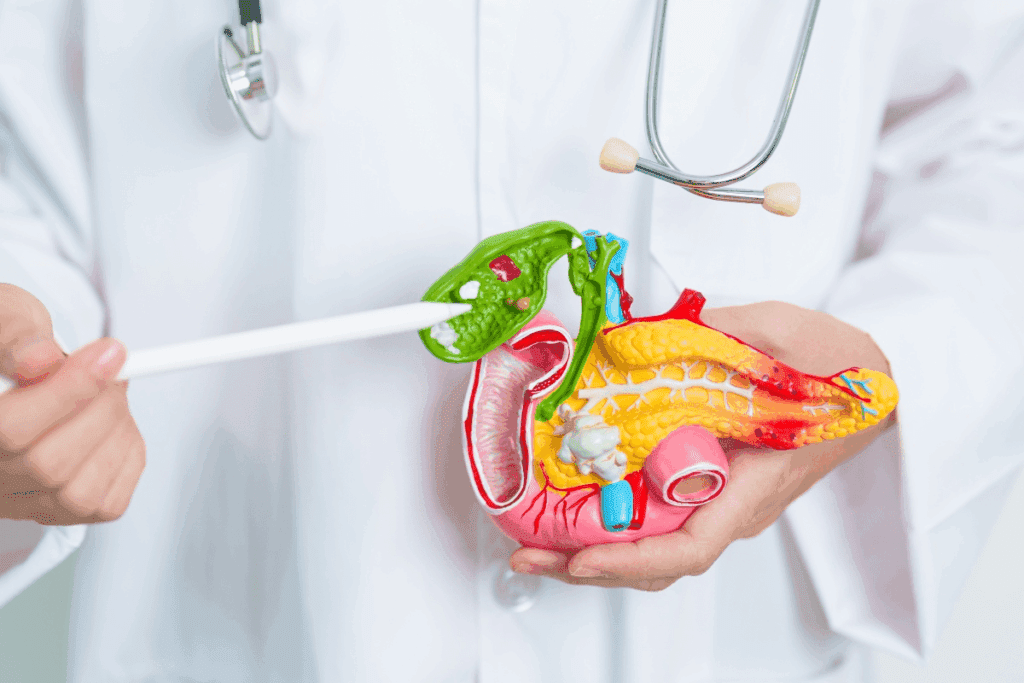 Benefits No Gallbladder: What to Expect