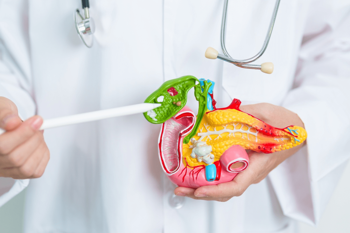 Benefits No Gallbladder: What to Expect