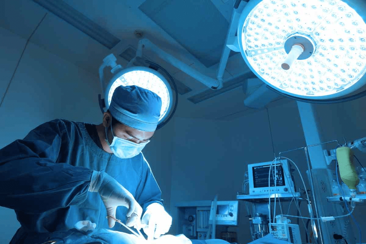 Left Inguinal Region Anatomy: An Amazing Guide