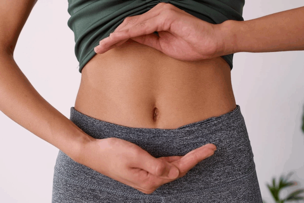 Organ Above Belly Button: The #1 Surprising Answer