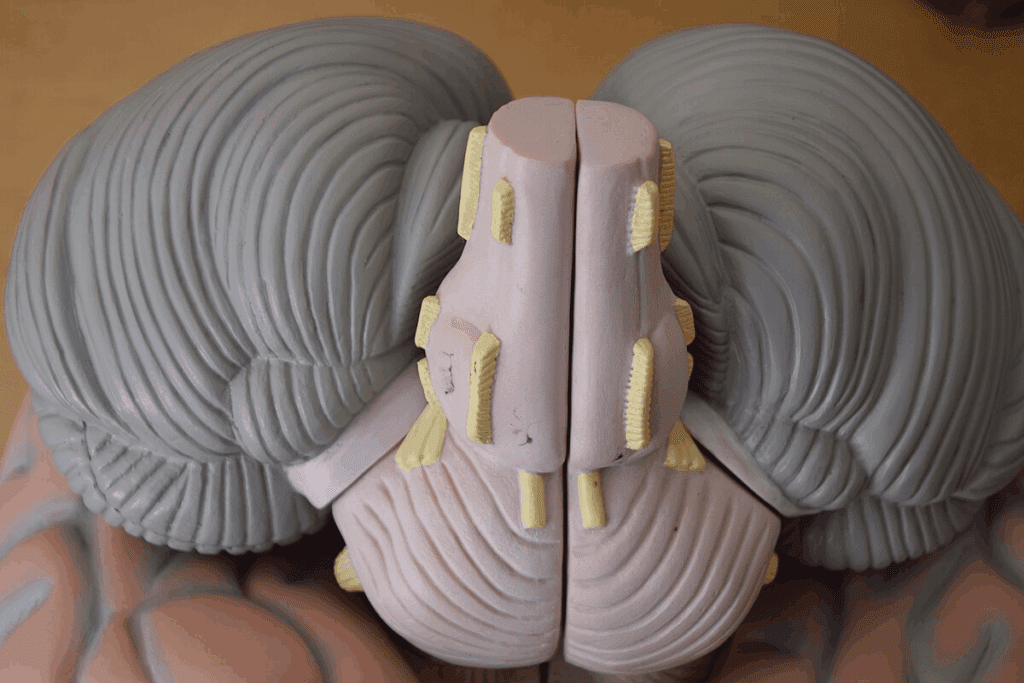 How Drain Feces After Bowel Resection: Methods Explained