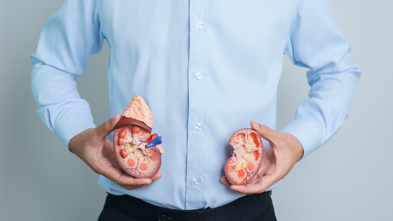 Chronic Kidney Disease (CKD)