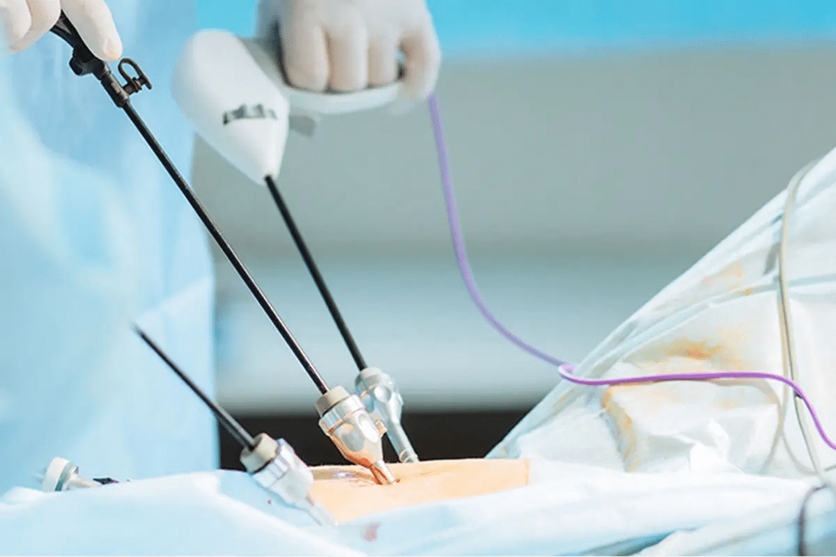 word image 259193 2 LIV Hospital