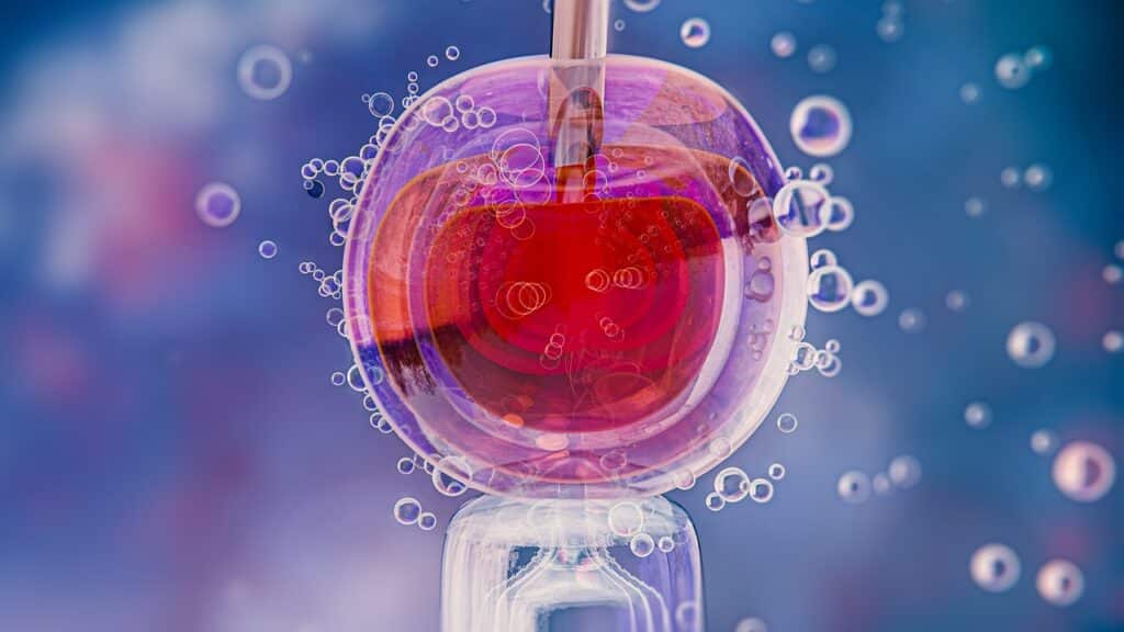 Harry Styles Stem Cell